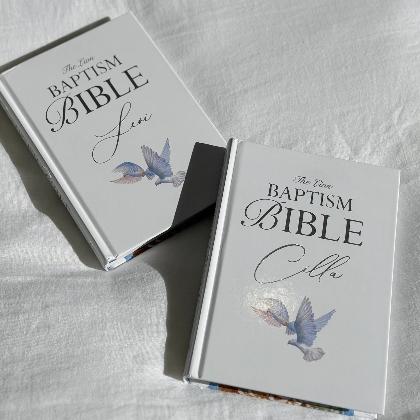 Baptism Bible